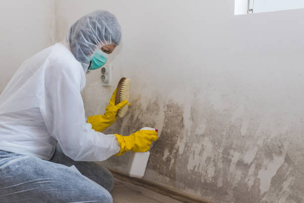 Best Mold Testing  in Manchaca, TX