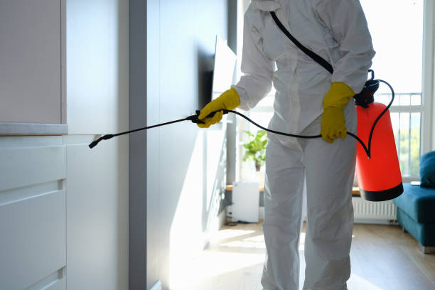 Best Commercial Mold Removal  in Manchaca, TX