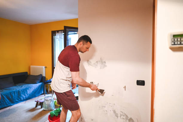 Best Affordable Mold Removal  in Manchaca, TX