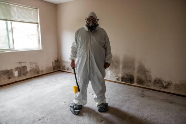 Best Certified Mold Removal  in Manchaca, TX